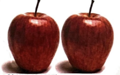 Sticker Image 1