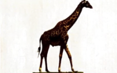 Sticker Image 1