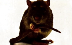Sticker Image 2