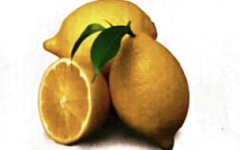 Sticker Image 1