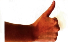 Sticker Image 1