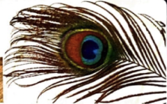 Sticker Image 2